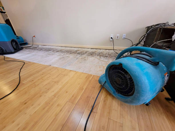 Professional Water Removal technician working in Shafter, CA